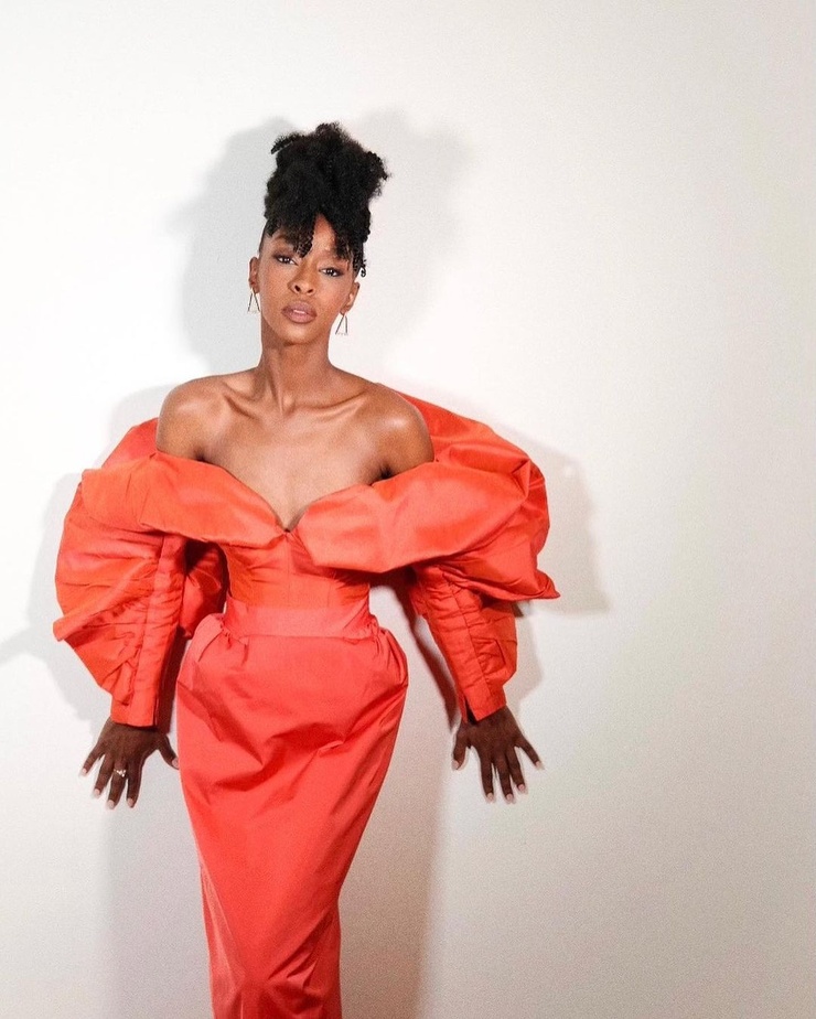 Ebony Obsidian picture