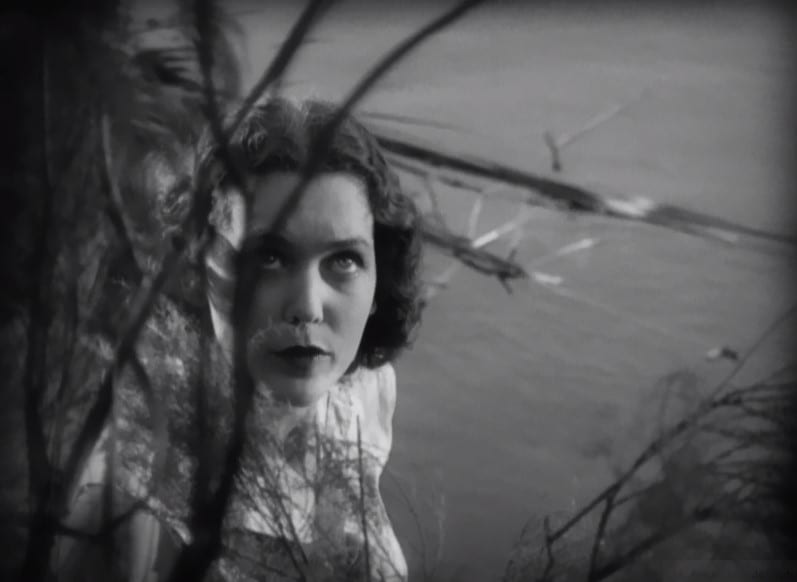 Tarzan the Ape Man (1932) Tarzan the Ape Man (1932)