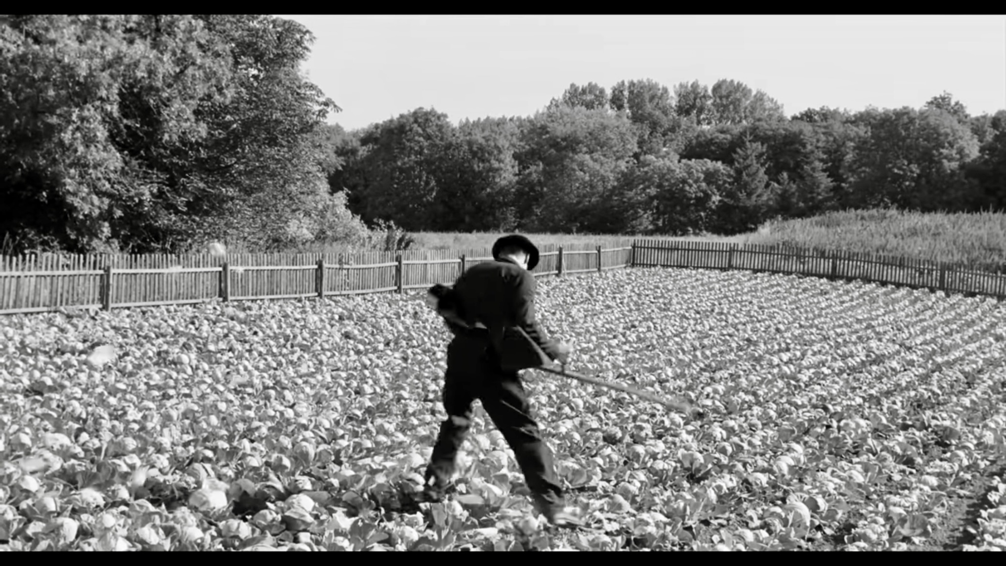 The White Ribbon (2009)