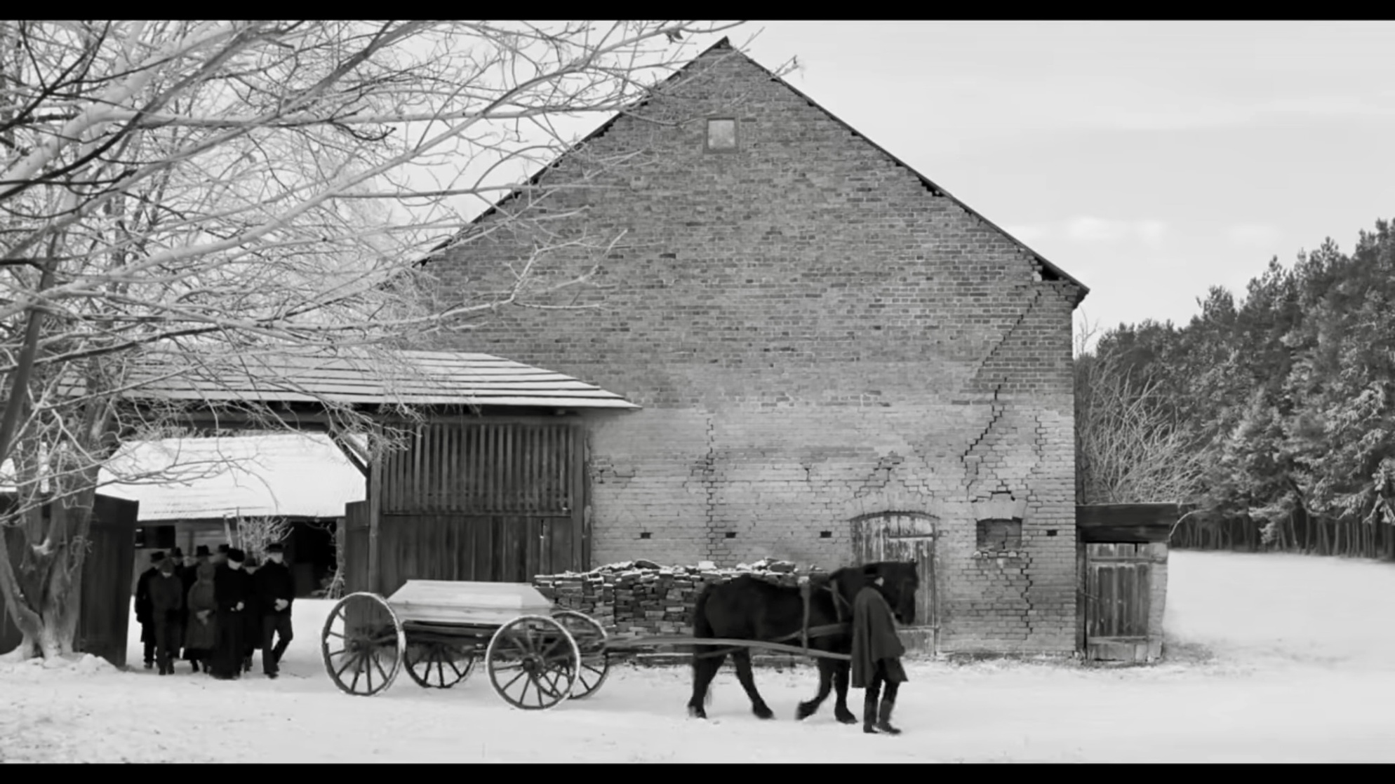 The White Ribbon (2009)