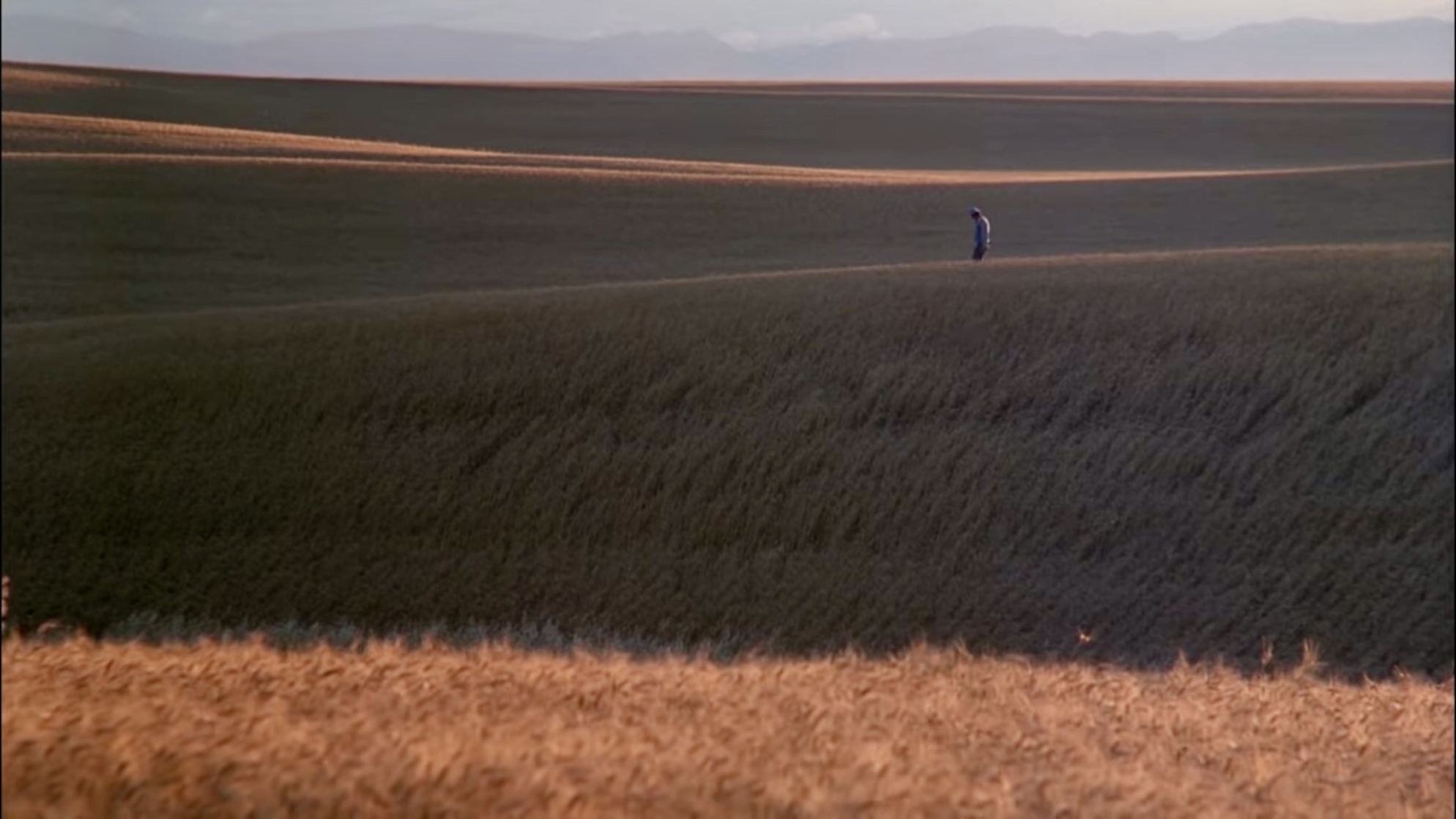 Days of Heaven