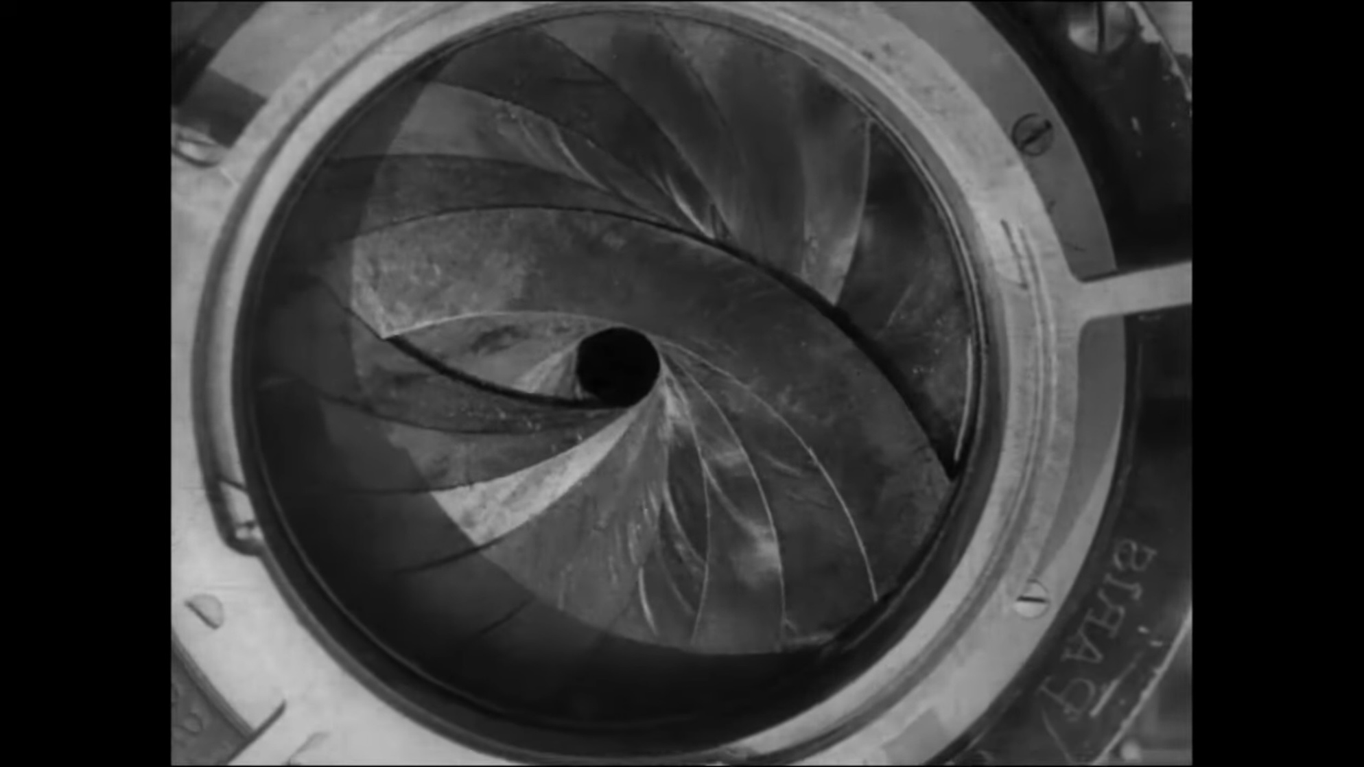 Man with a Movie Camera