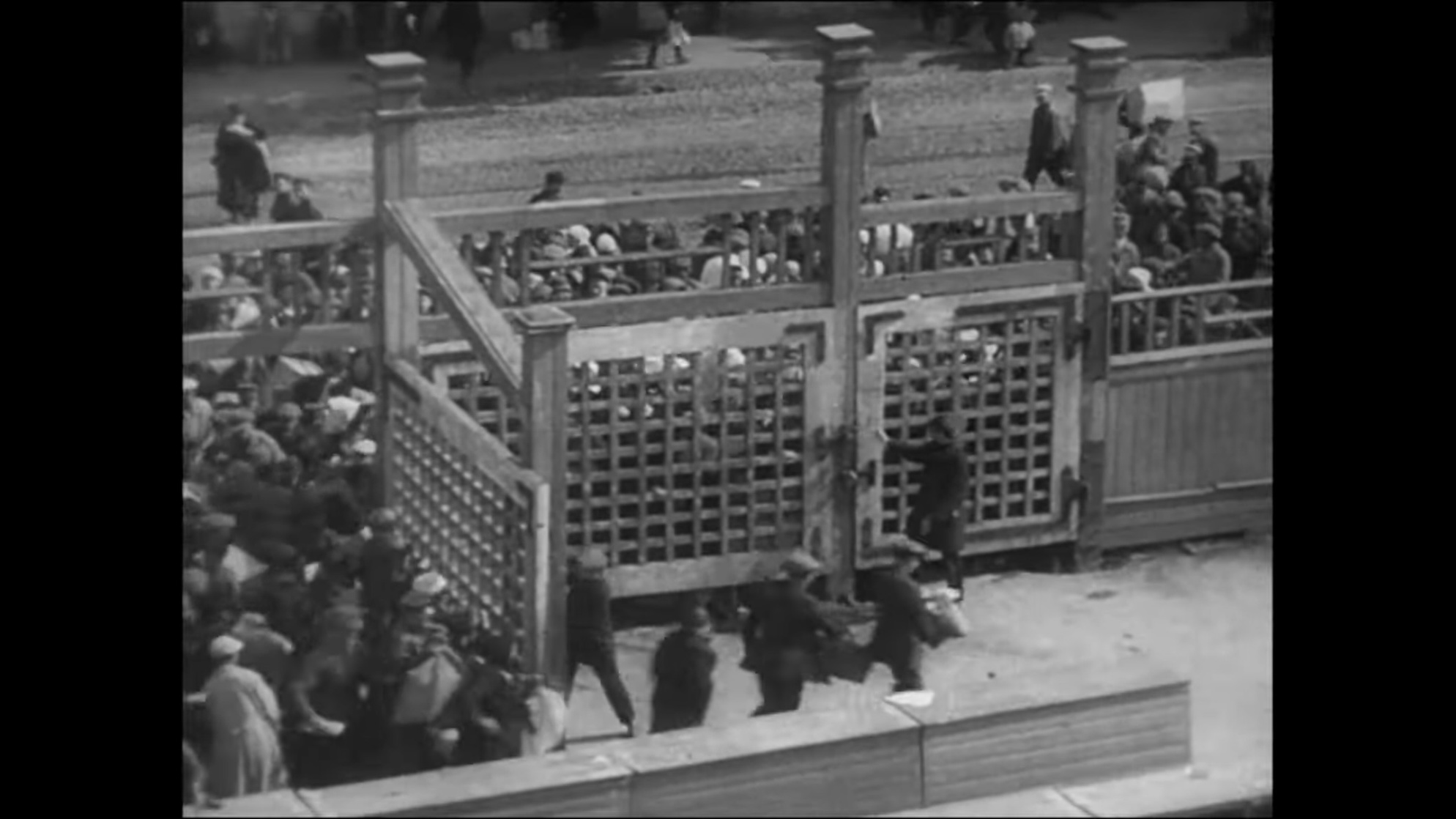 Man with a Movie Camera