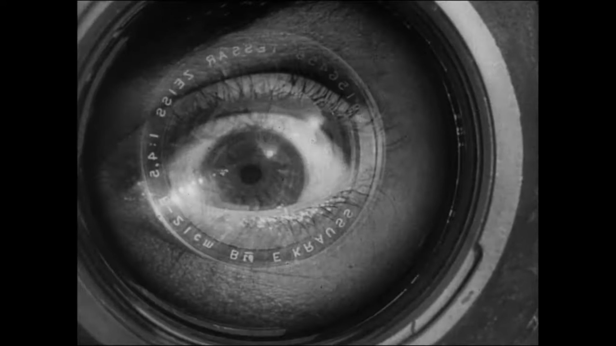 Man with a Movie Camera