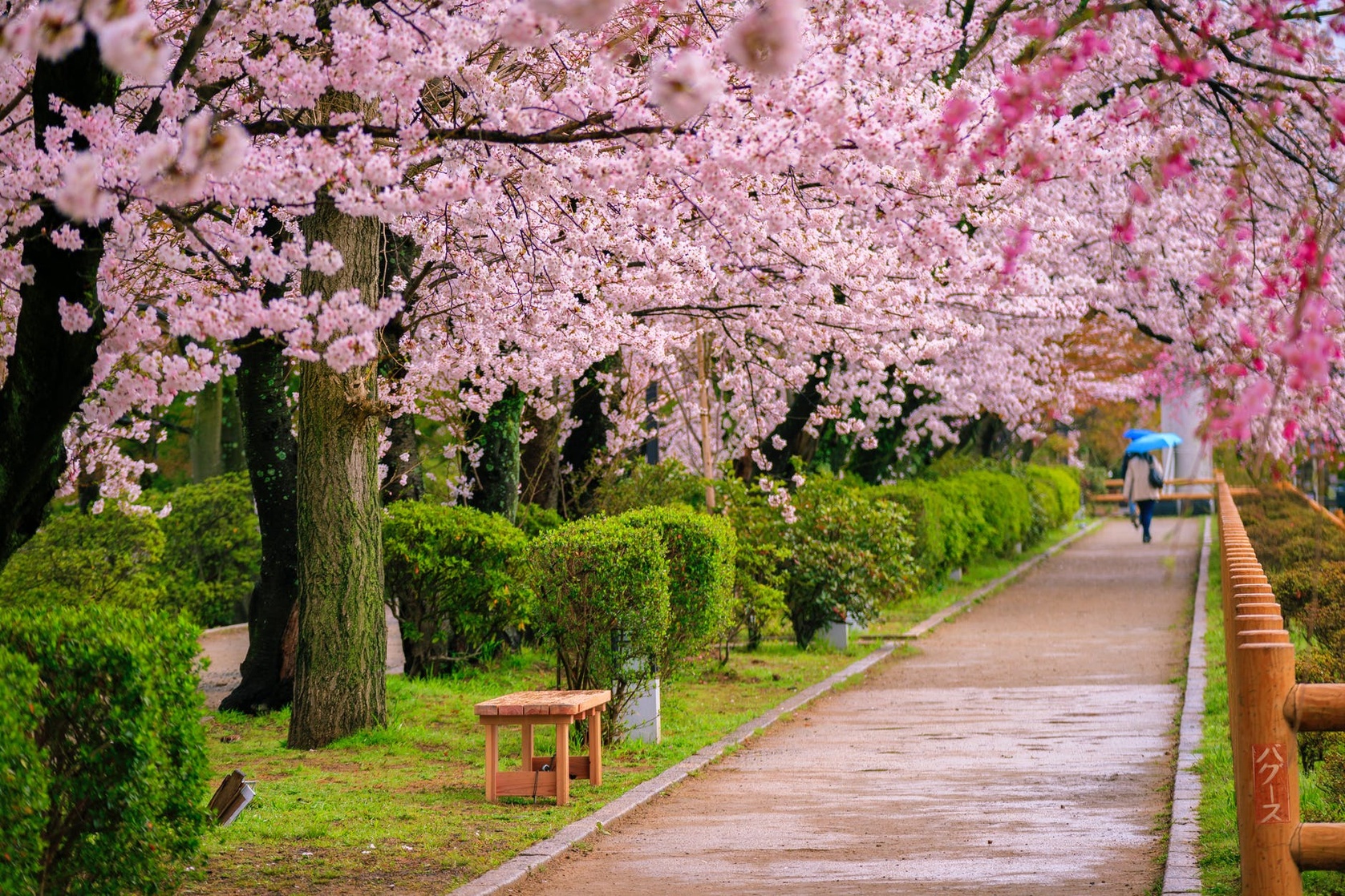 Japan 日本国