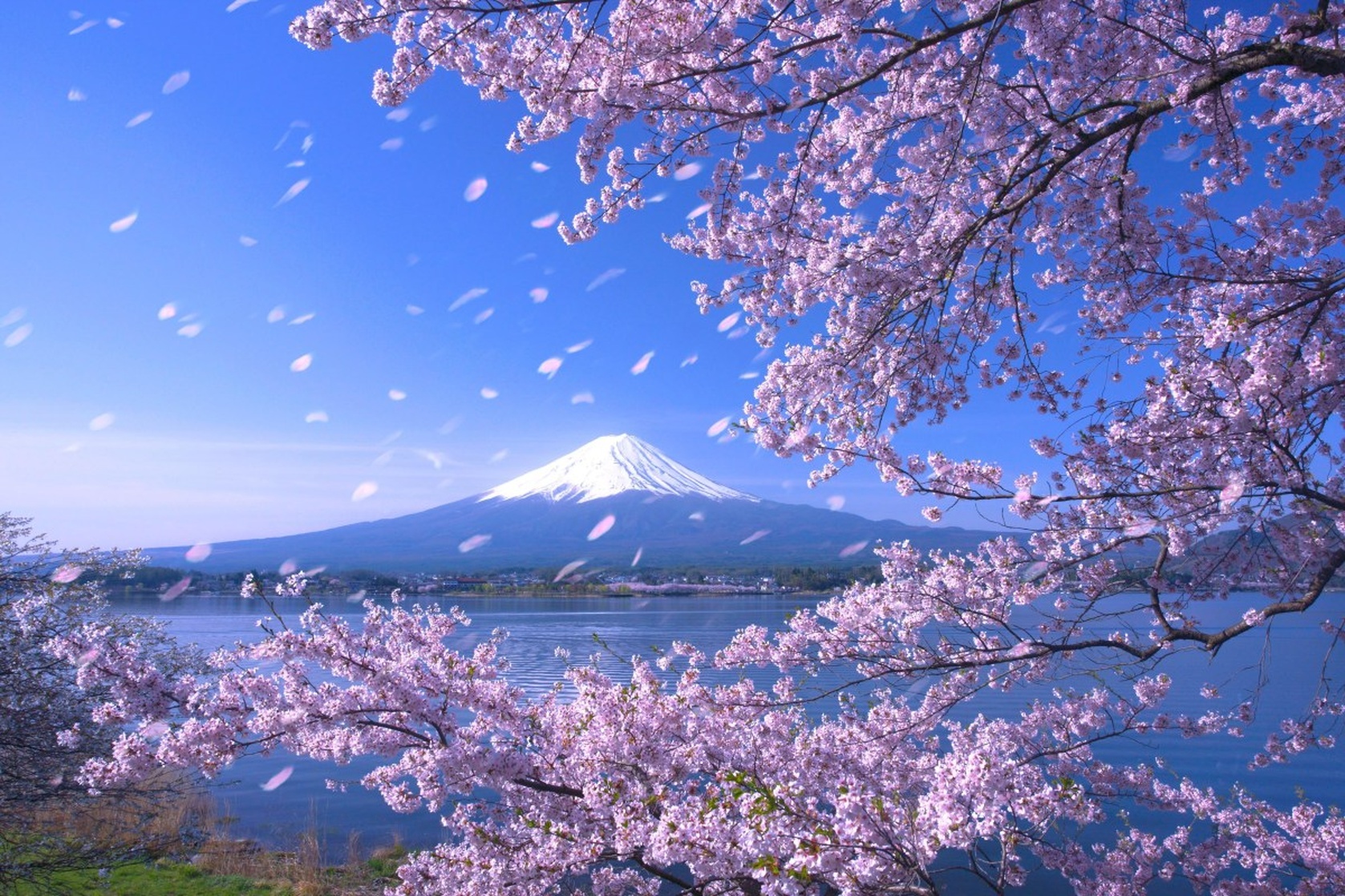 Japan 日本国 Japan 日本国