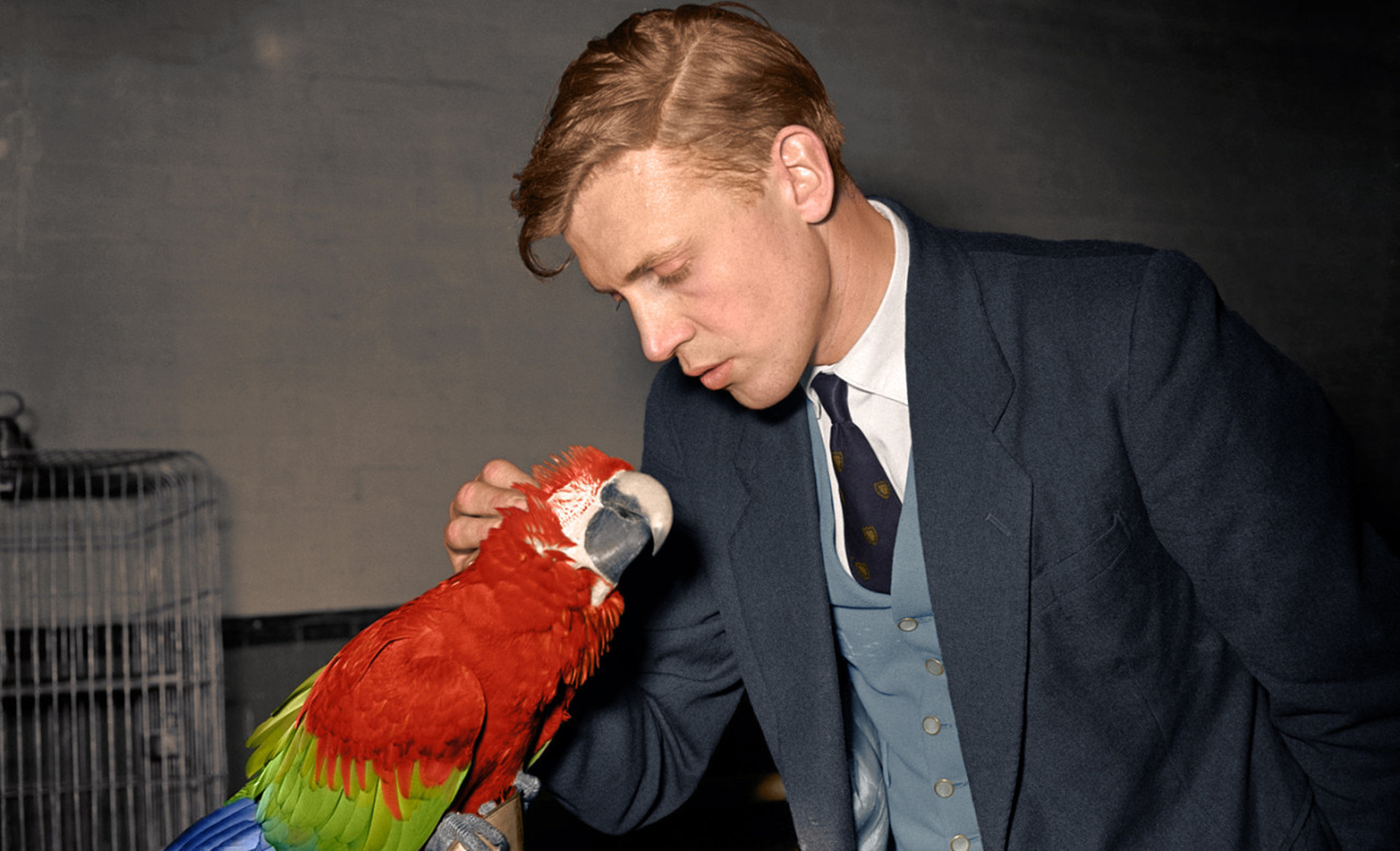 David Attenborough