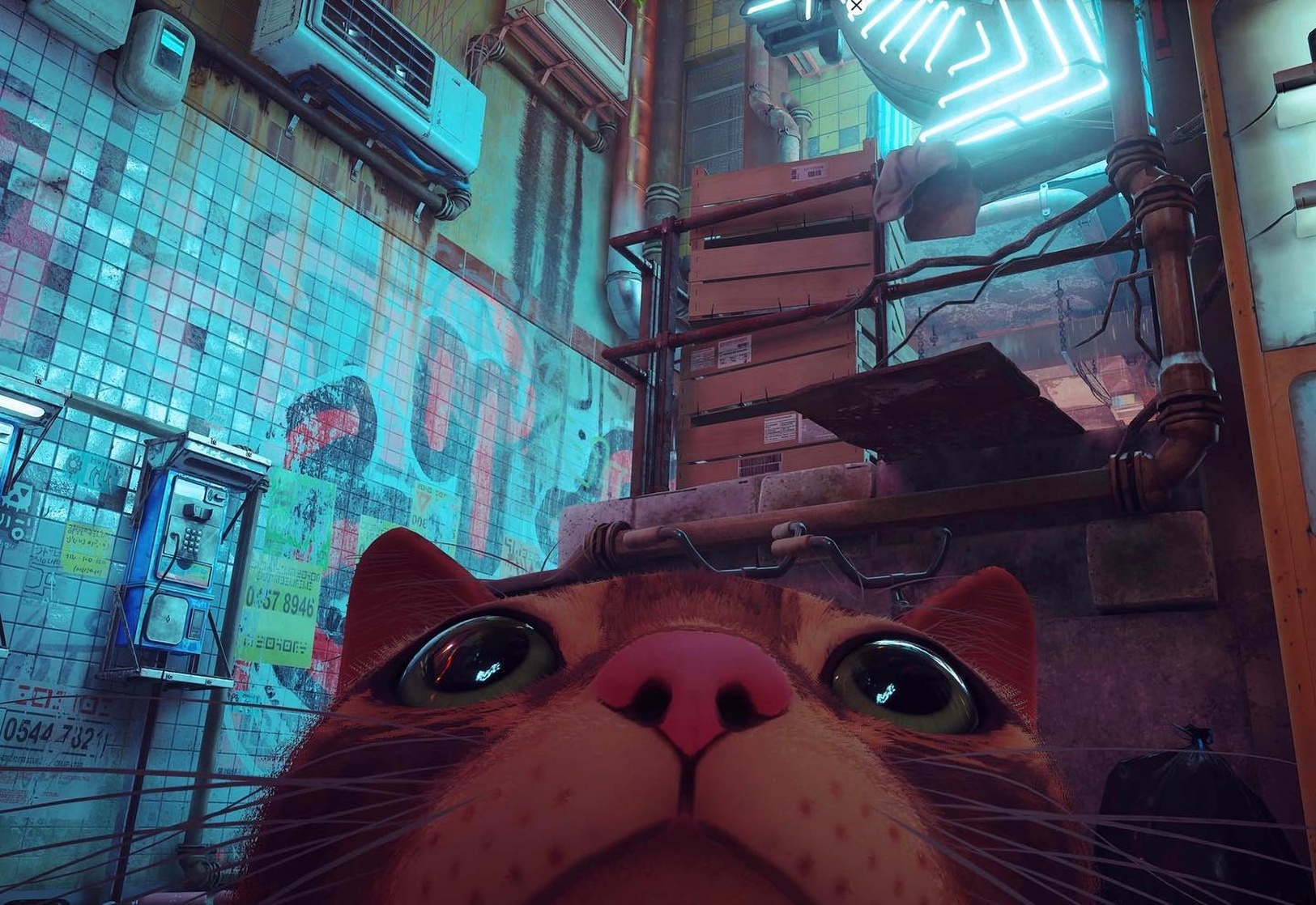 Stray