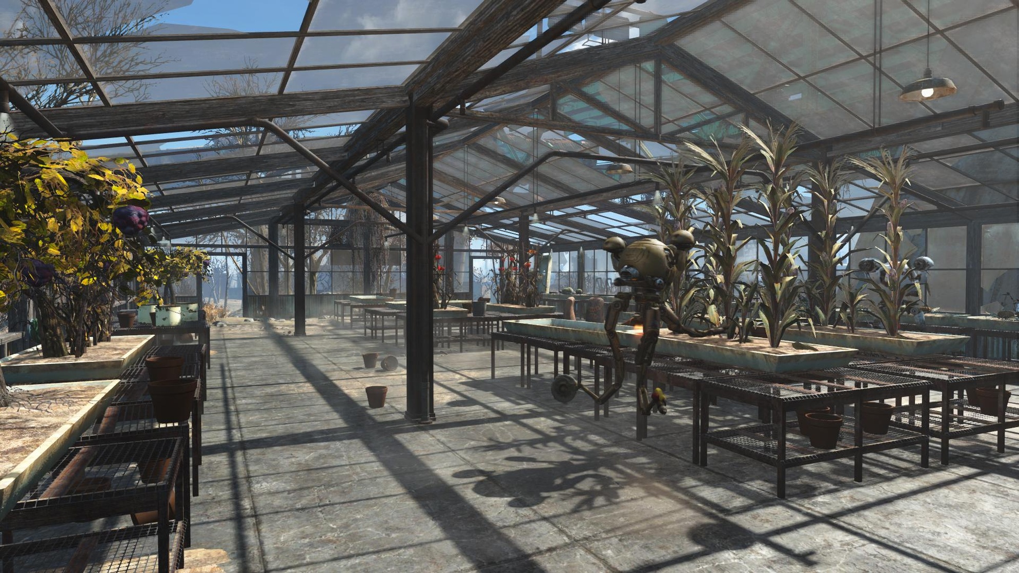 Graygarden