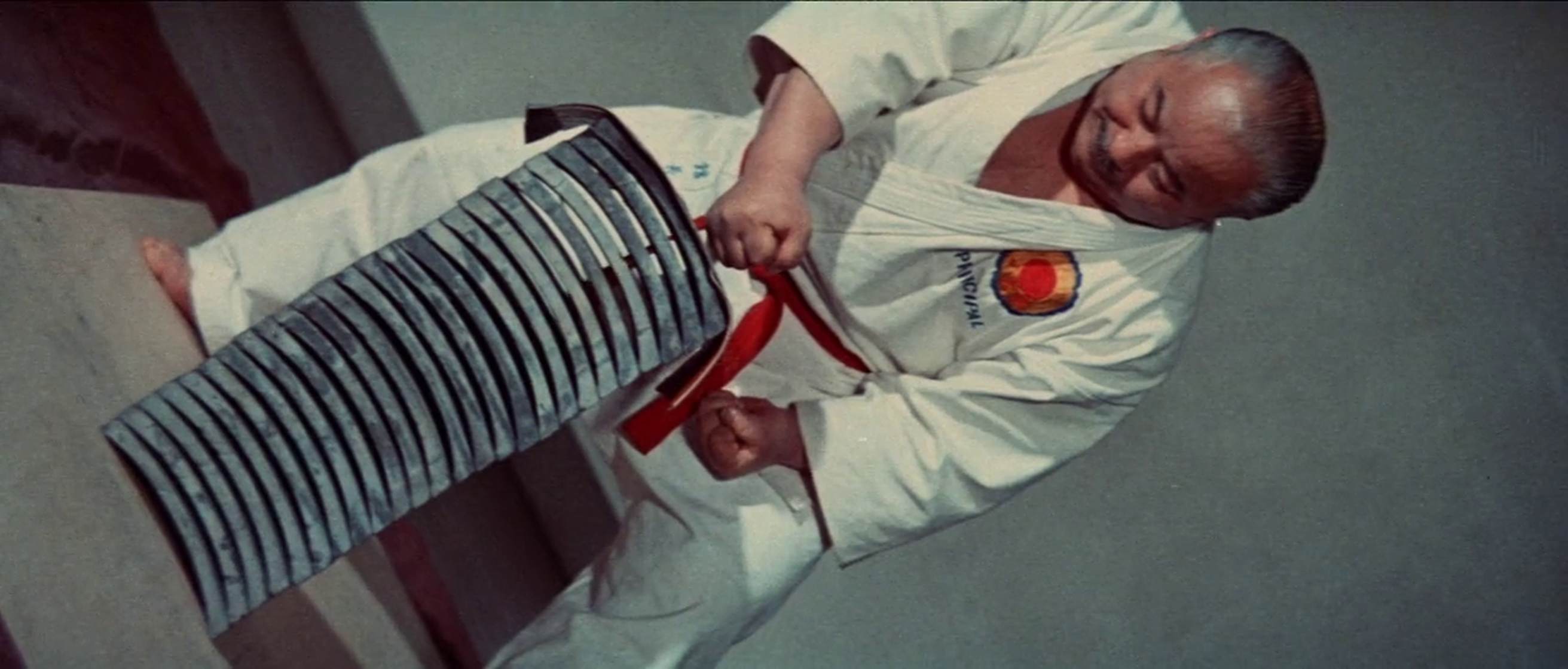 Return of the Street Fighter