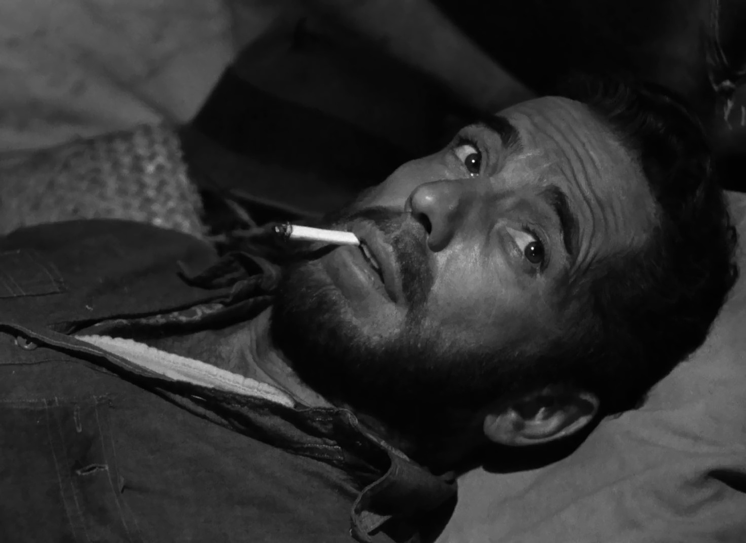 The Treasure of the Sierra Madre (1948)