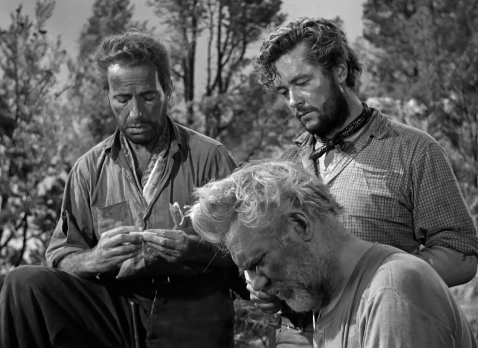 The Treasure of the Sierra Madre (1948)