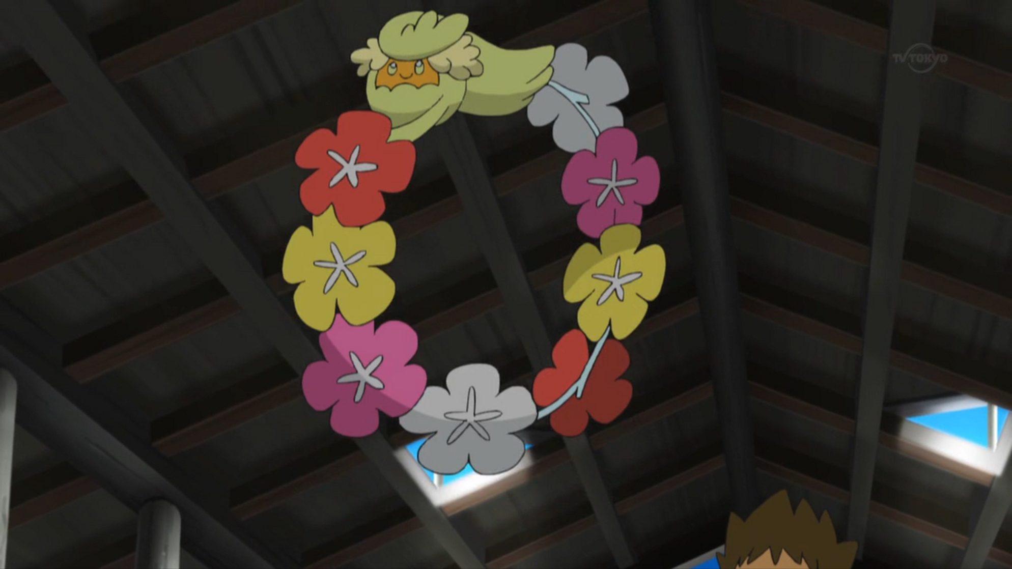 Brock's Comfey