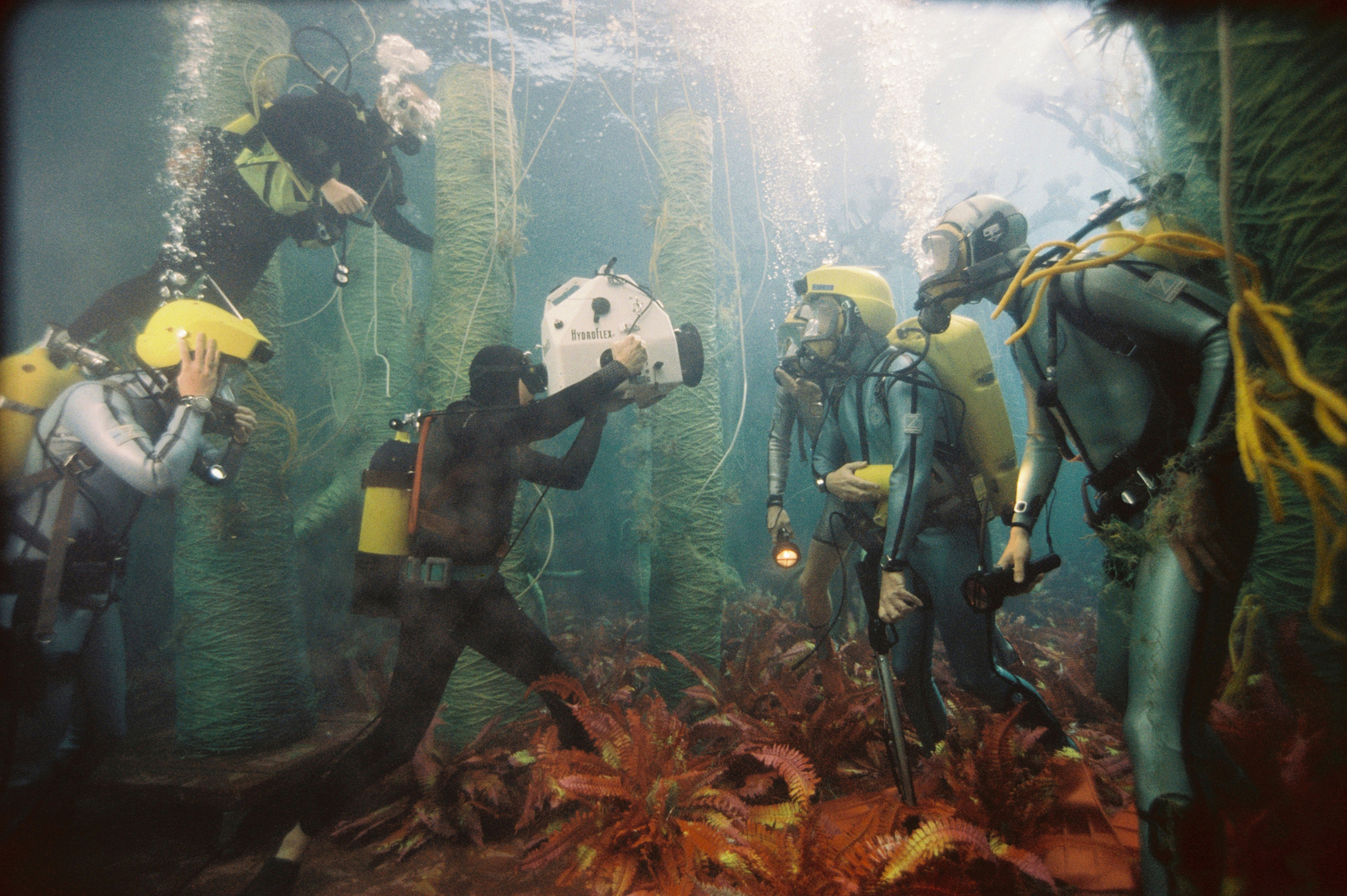 The Life Aquatic with Steve Zissou