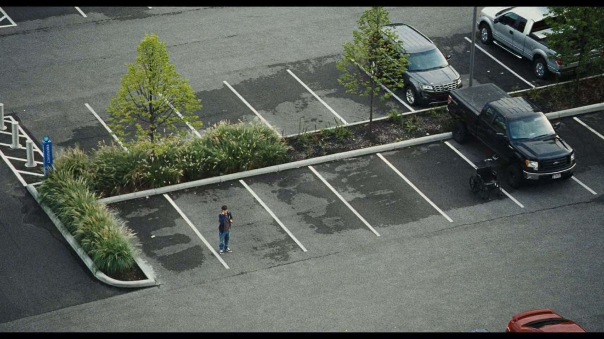 The Killing of a Sacred Deer