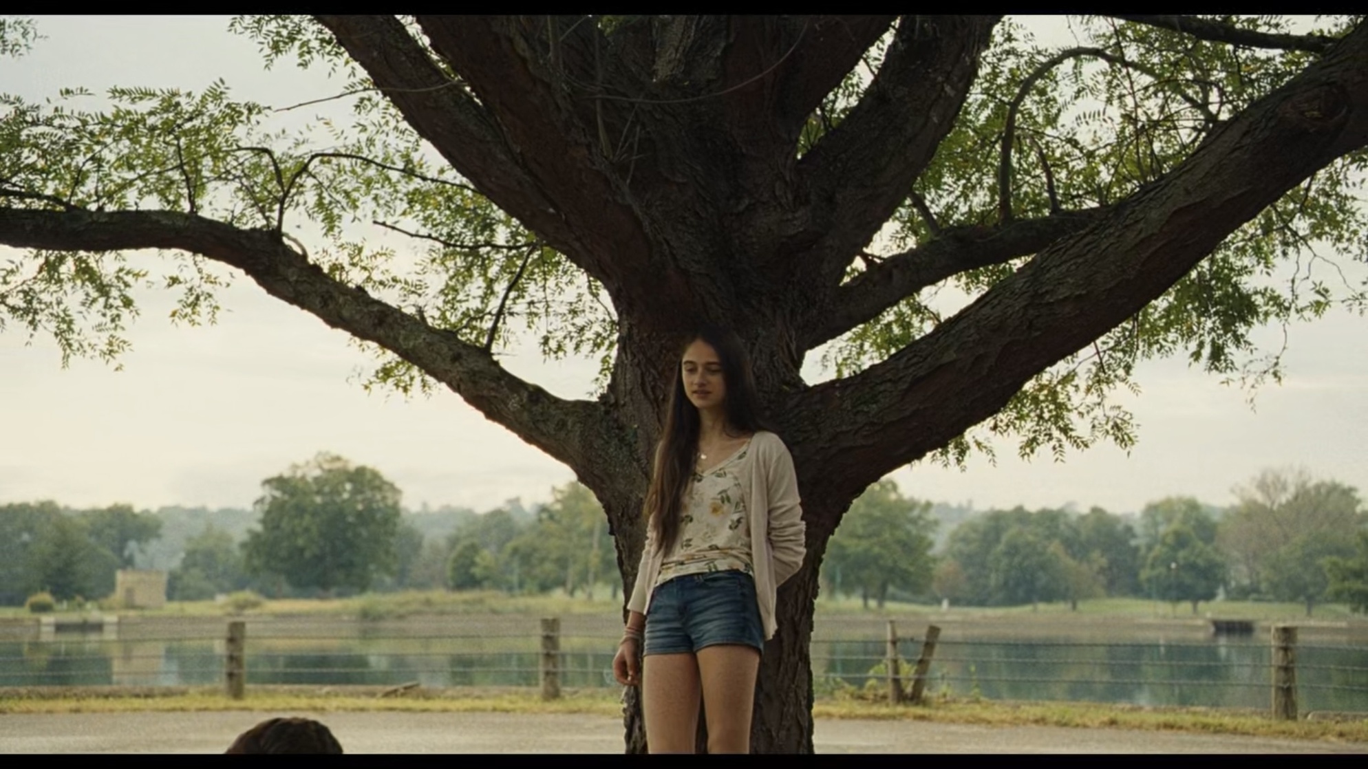 The Killing of a Sacred Deer