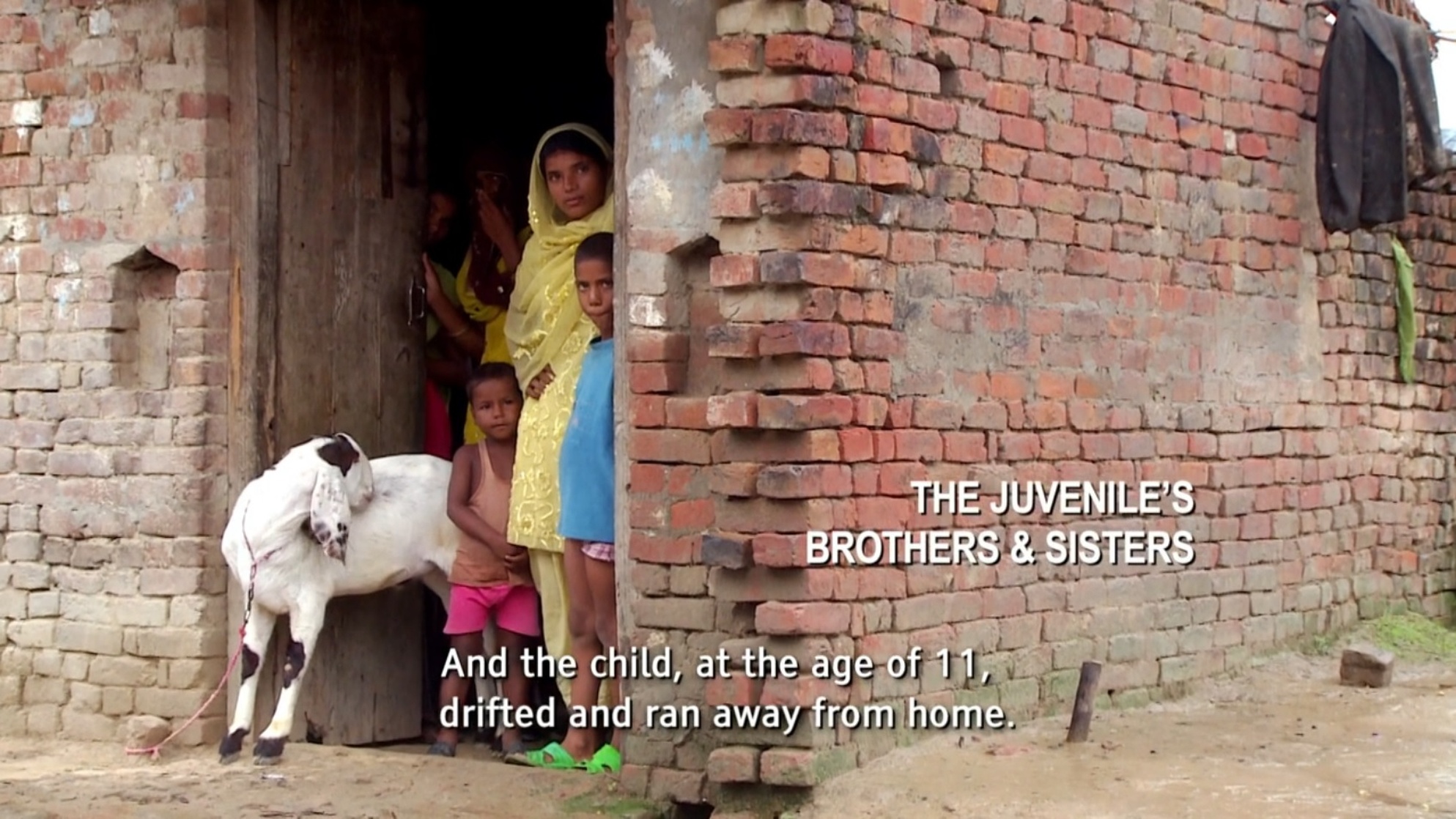 India's Daughter                                  (2015)