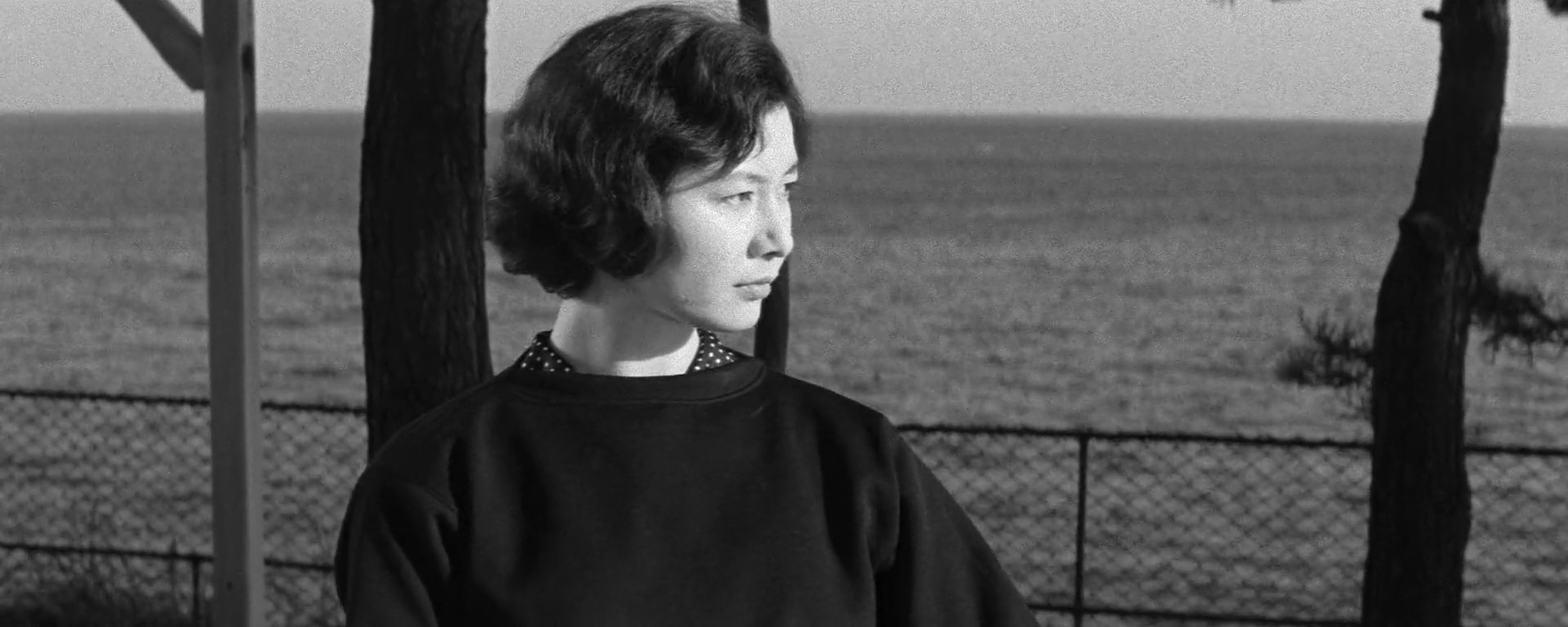 Misako Watanabe
