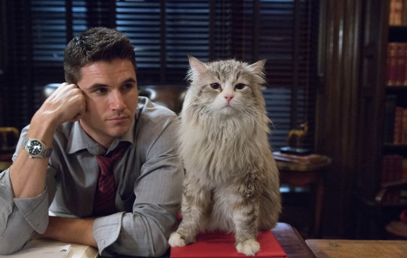 Robbie Amell