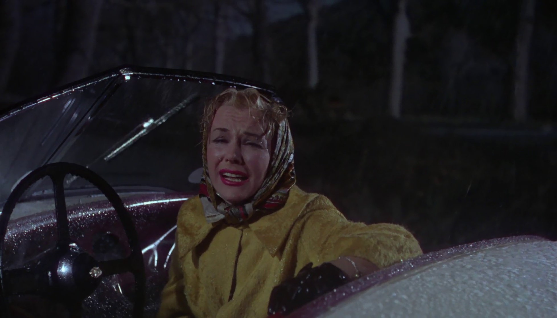 The Last Time I Saw Paris (1954)