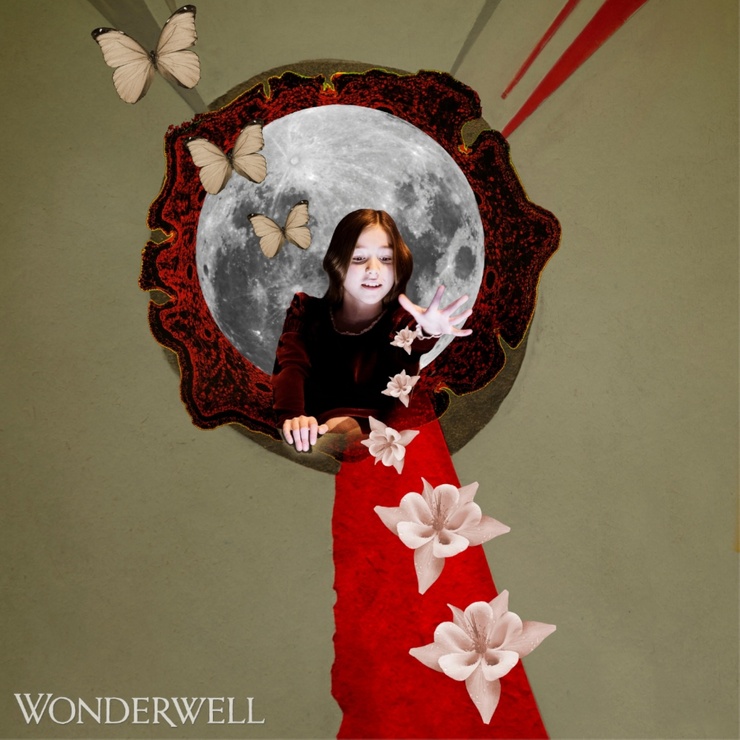 Picture of Wonderwell