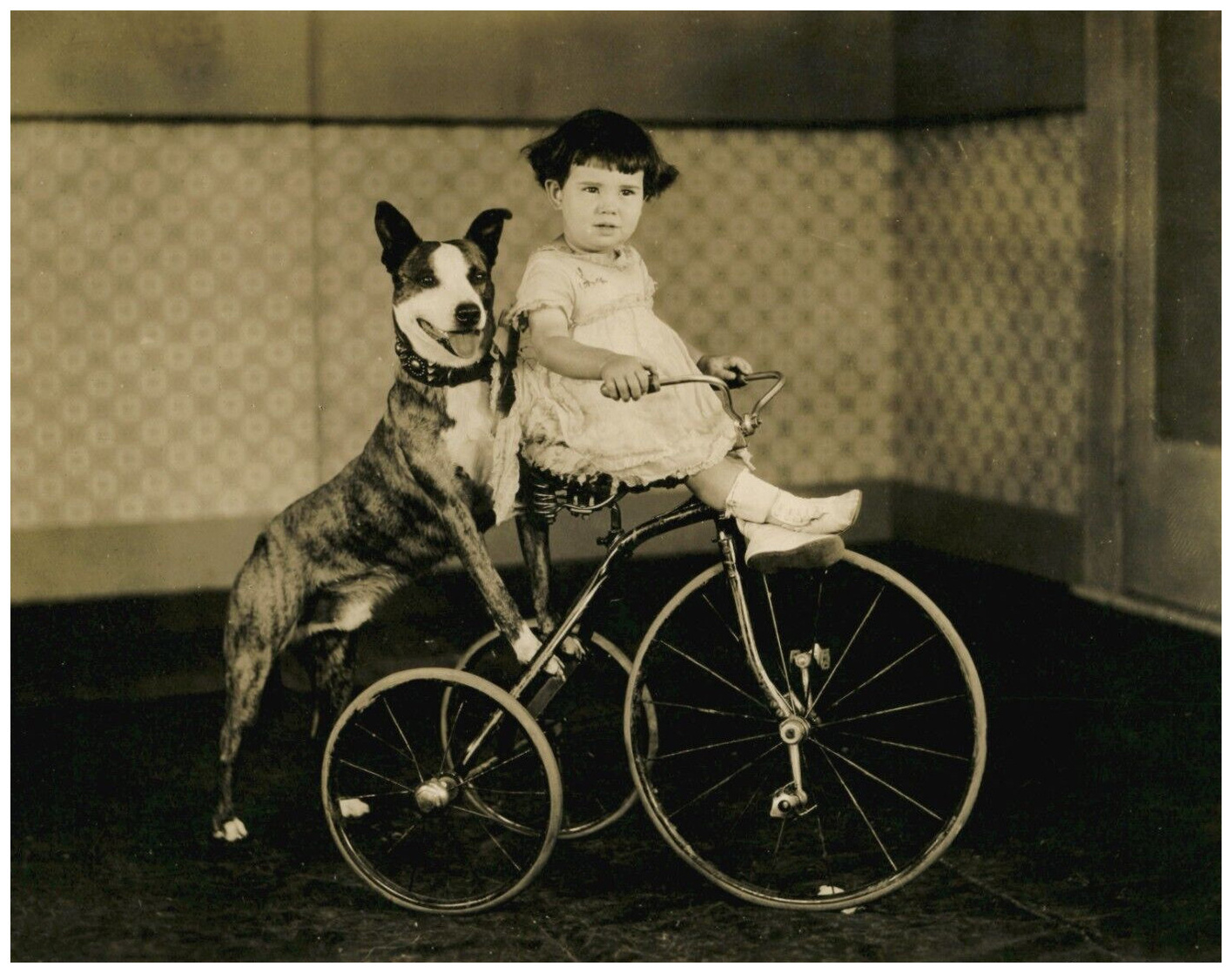 Baby Peggy Baby Peggy