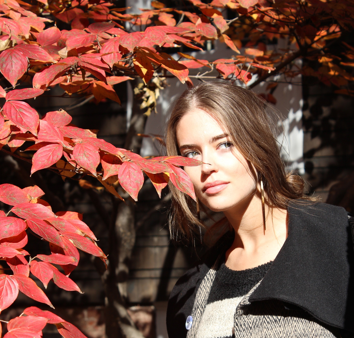 Clara Alonso Clara Alonso