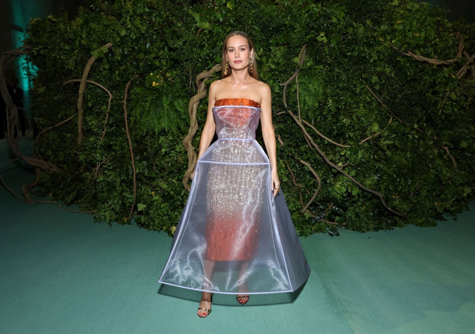 Brie Larson
