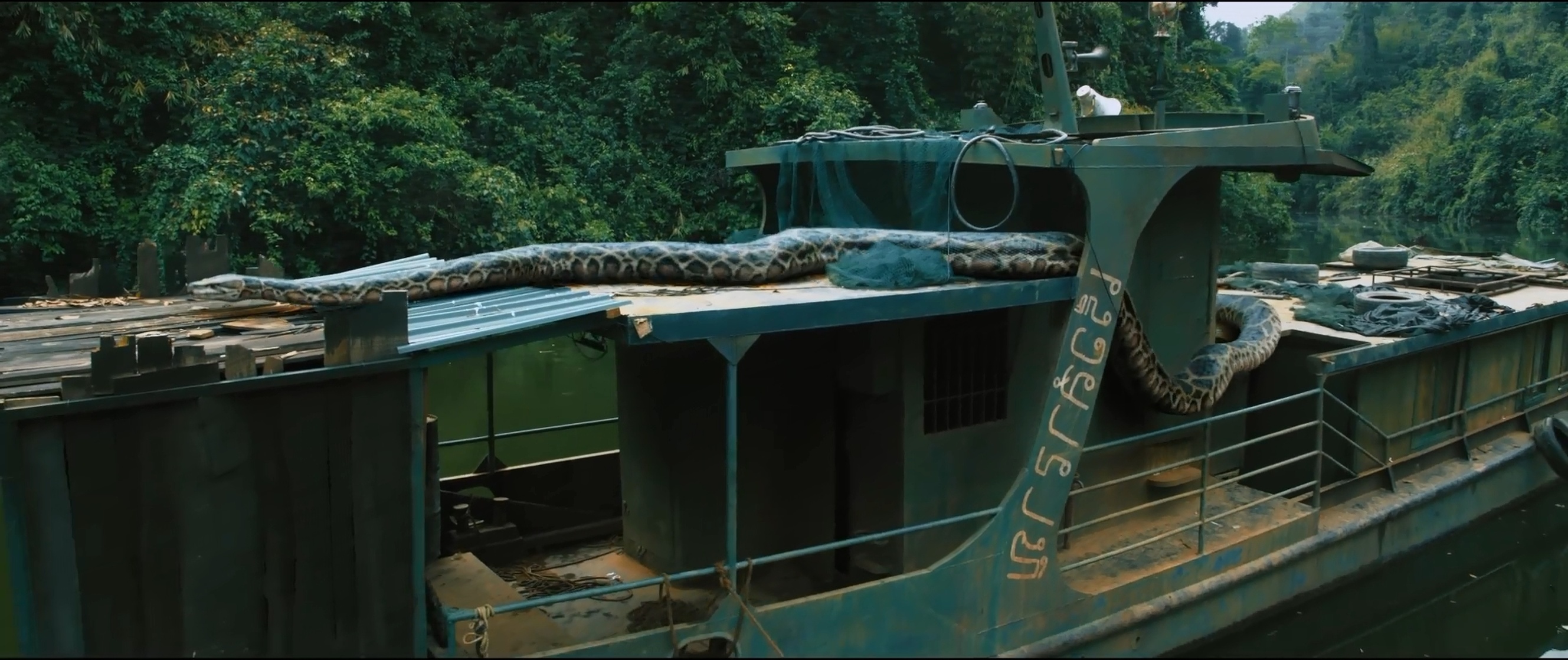 Anaconda