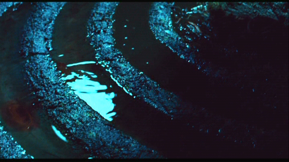 Picture of Pan's Labyrinth