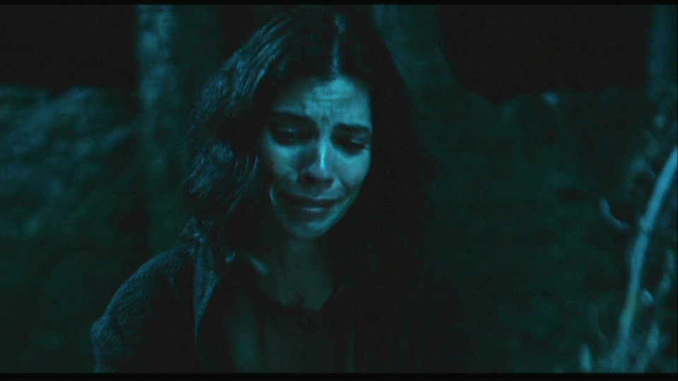 Picture of Pan's Labyrinth