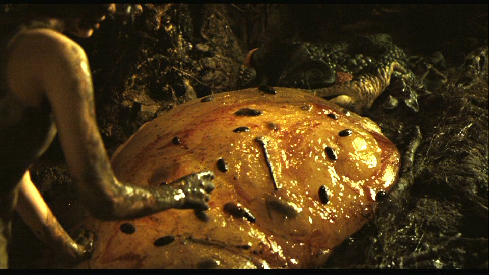 Pan's Labyrinth