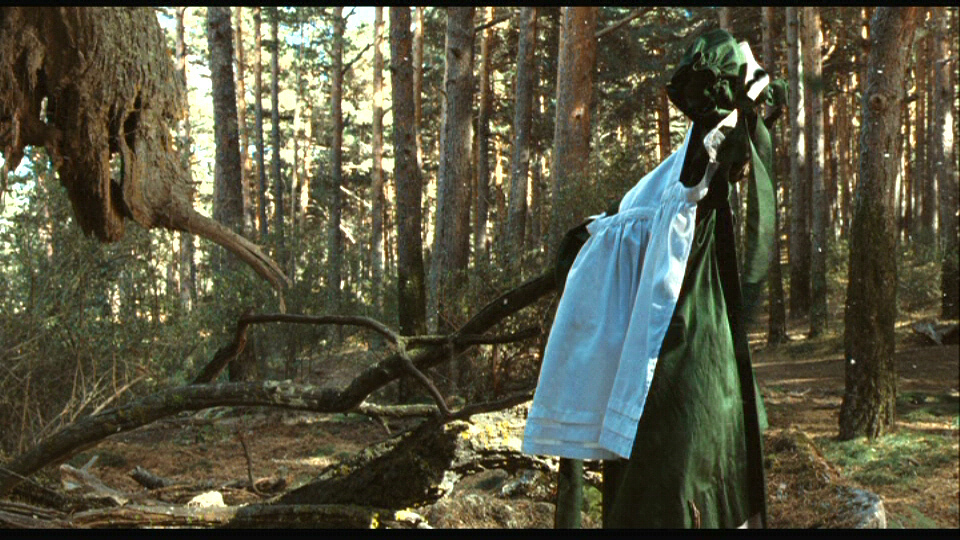 Pan's Labyrinth