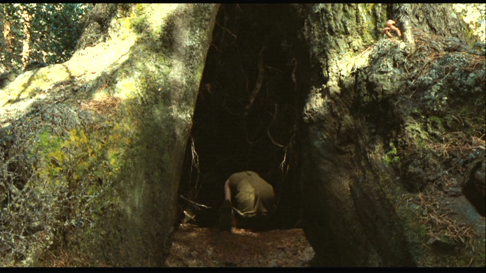 Pan's Labyrinth