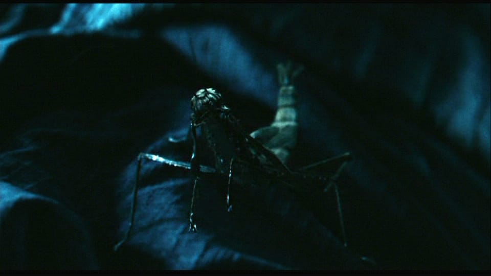 Pan's Labyrinth
