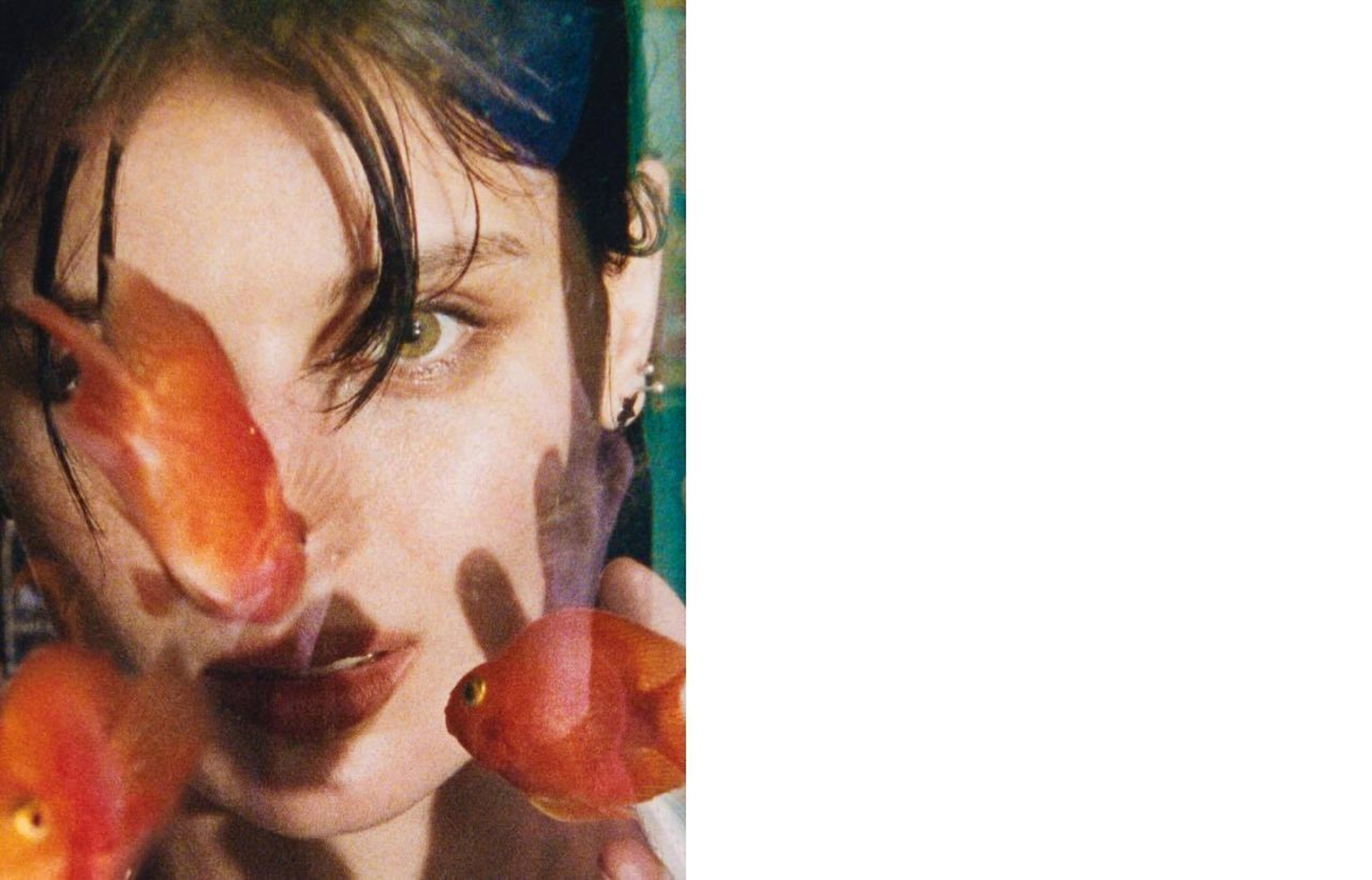 Alice Pagani