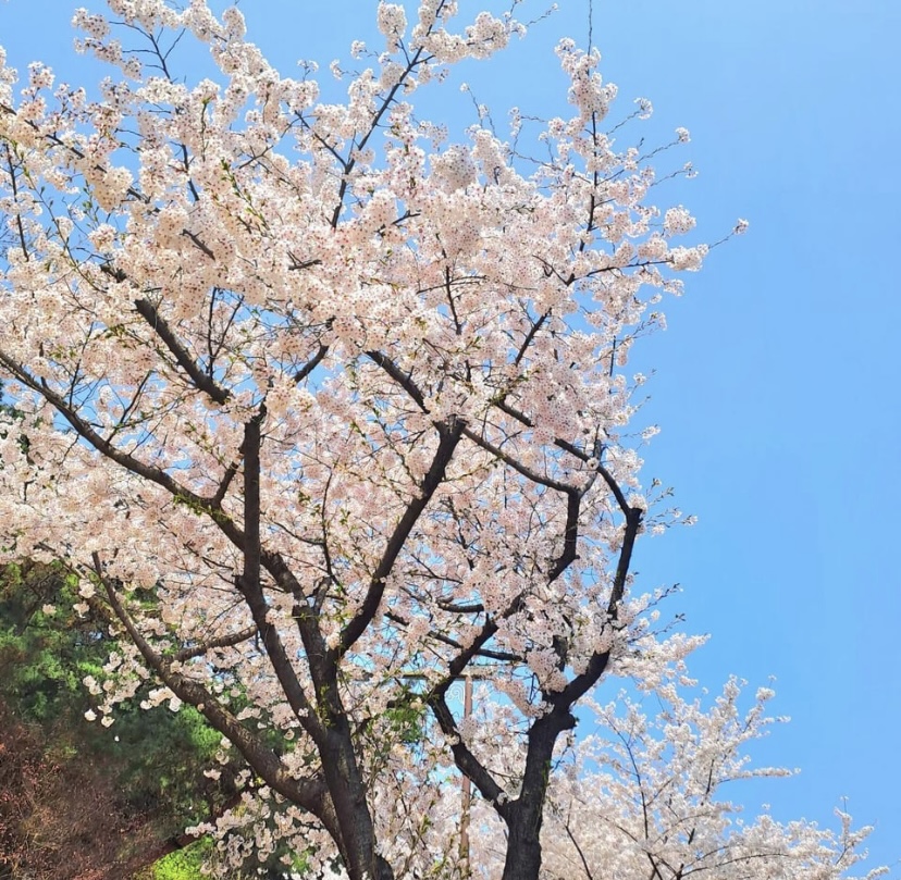 South Korea