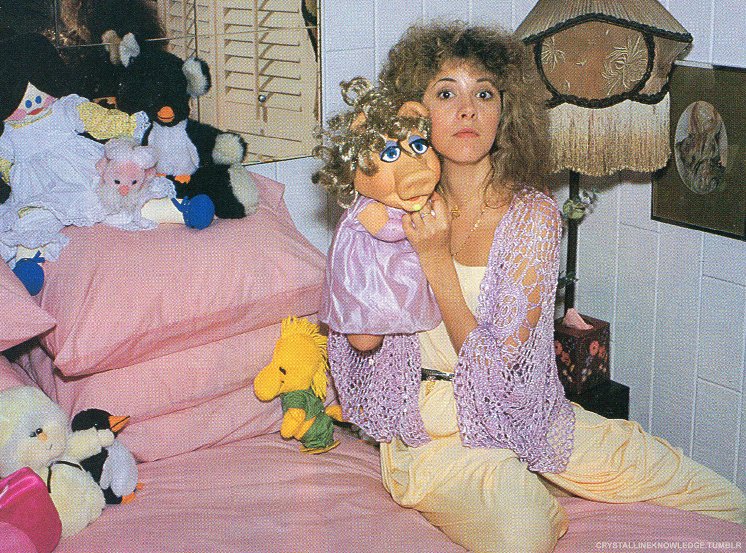 Stevie Nicks