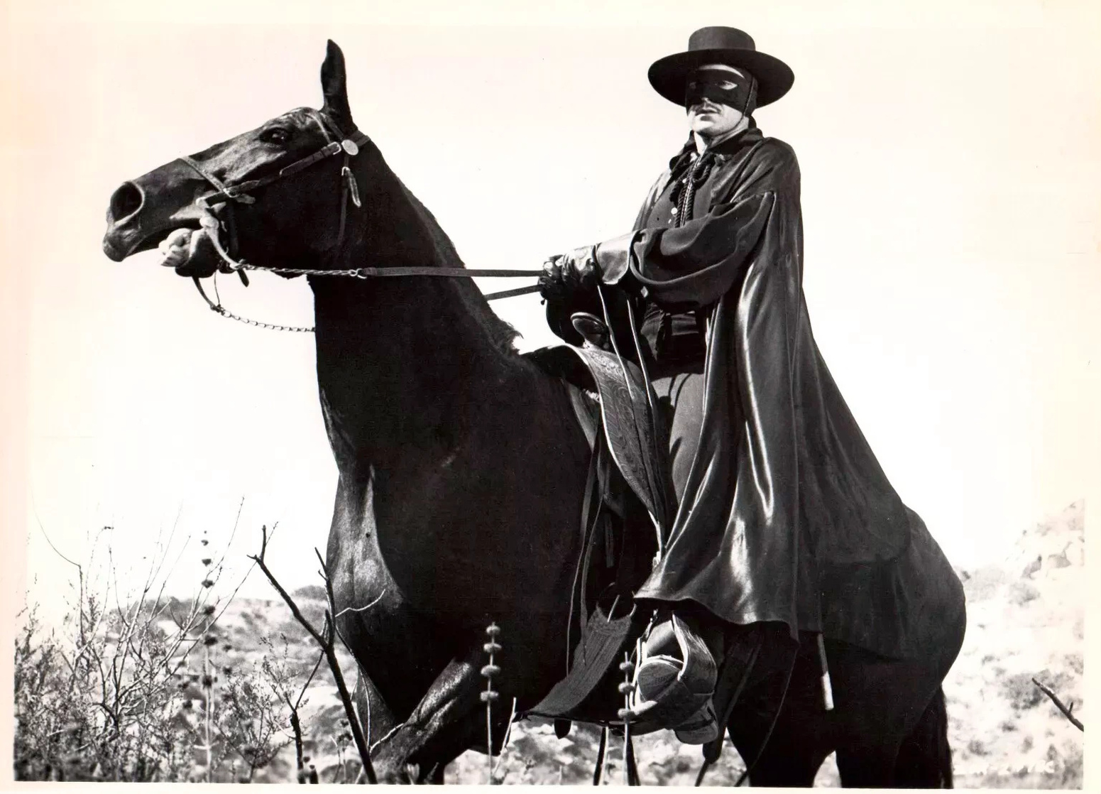 Guy Williams