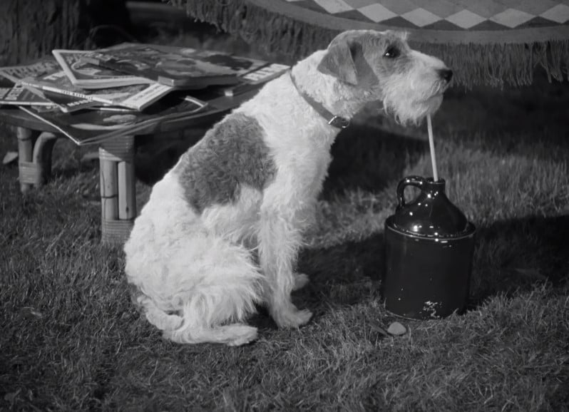 The Thin Man Goes Home The Thin Man Goes Home
