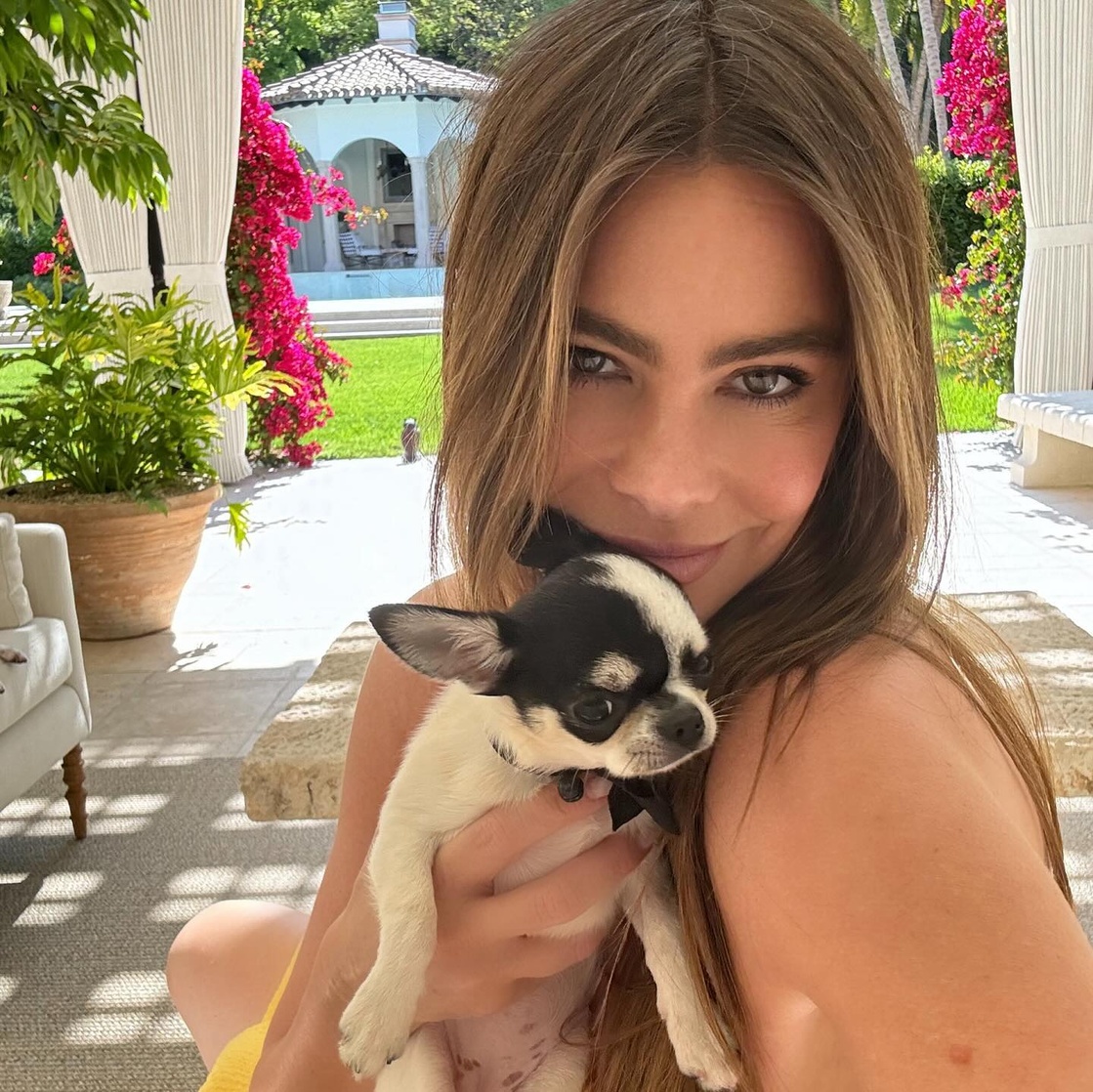 Sofía Vergara