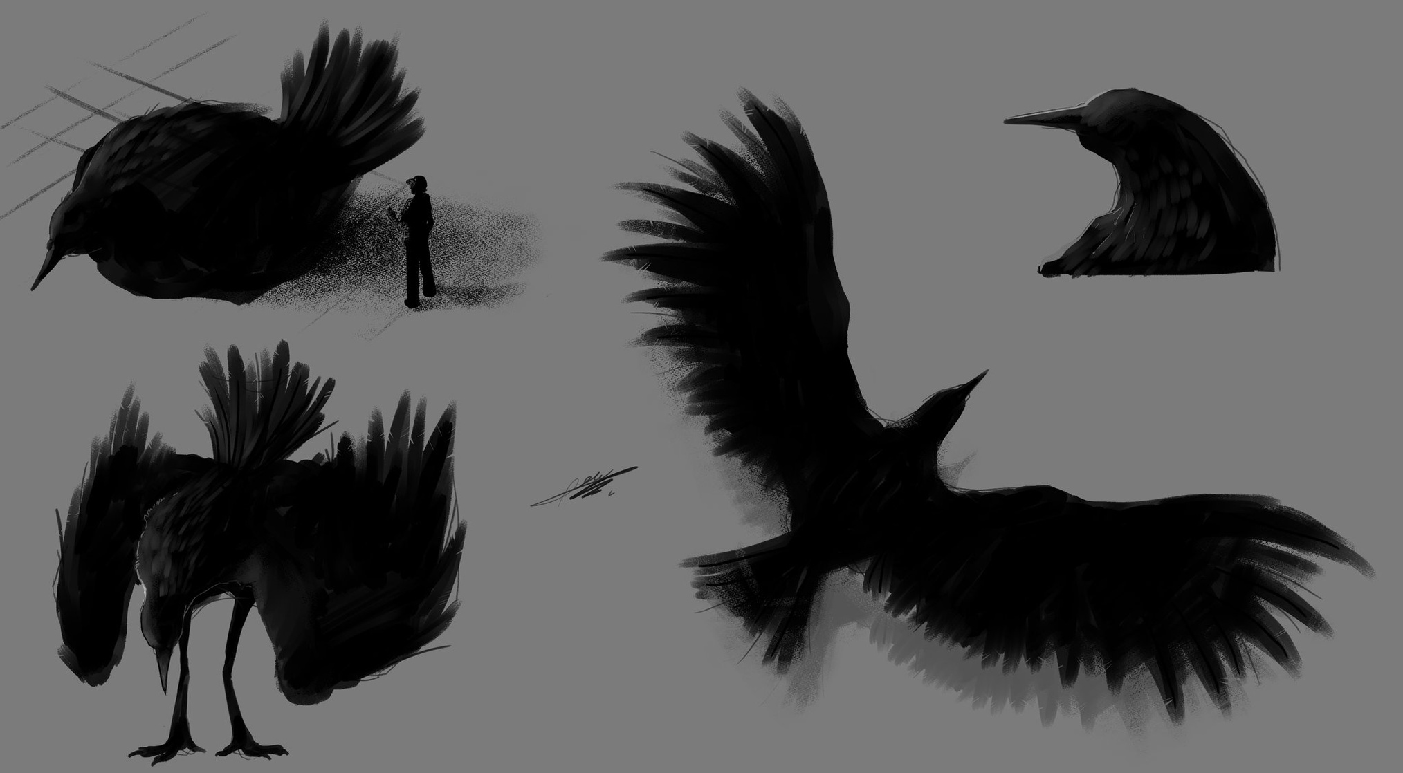 Thunderbird