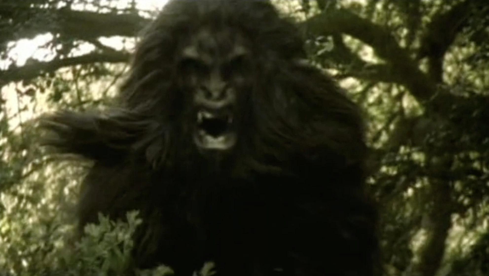 Sasquatch Hunters