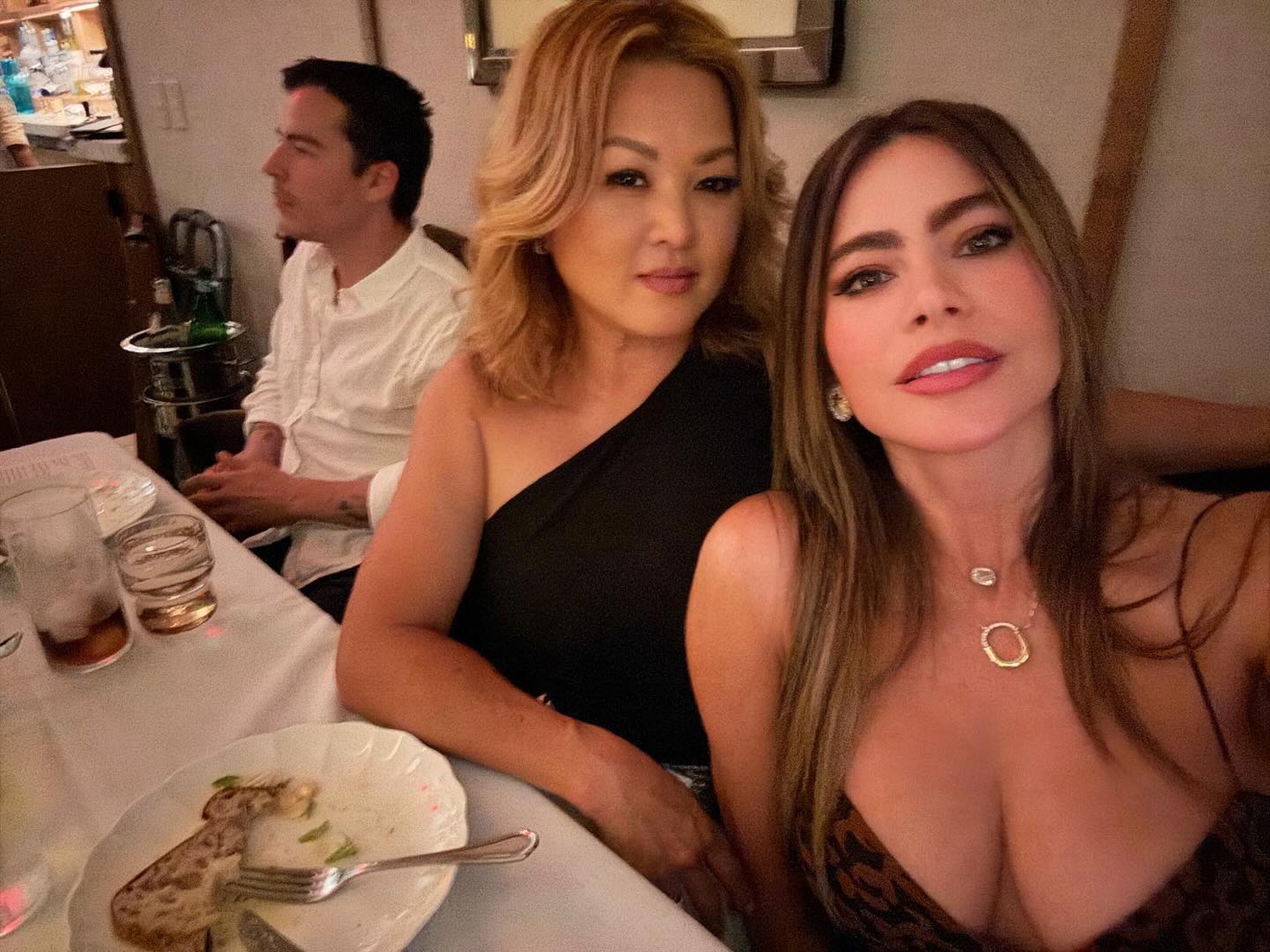 Sofía Vergara