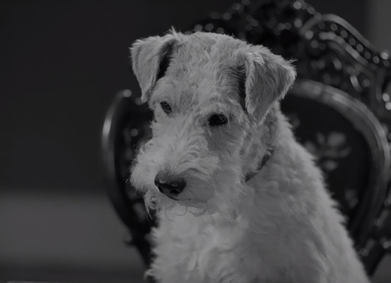 Another Thin Man Another Thin Man