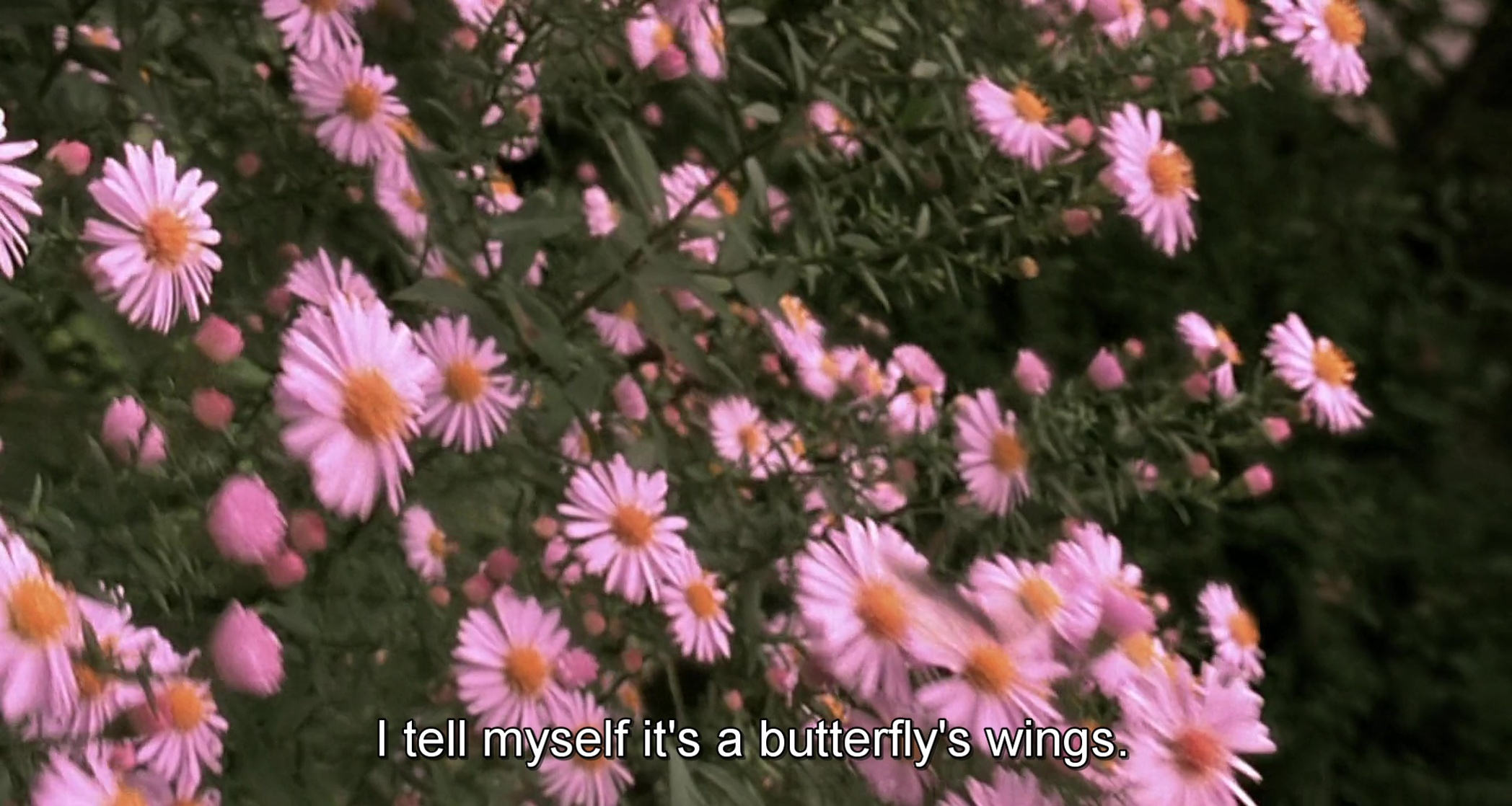 The Diving Bell and the Butterfly