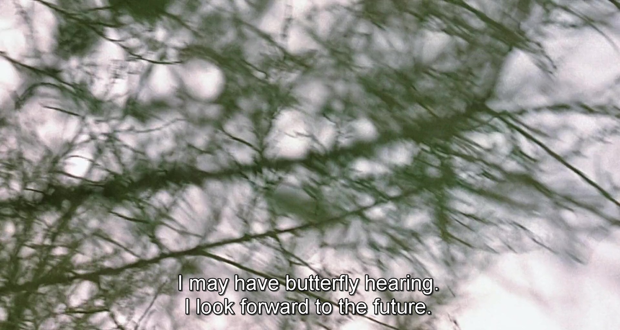 The Diving Bell and the Butterfly