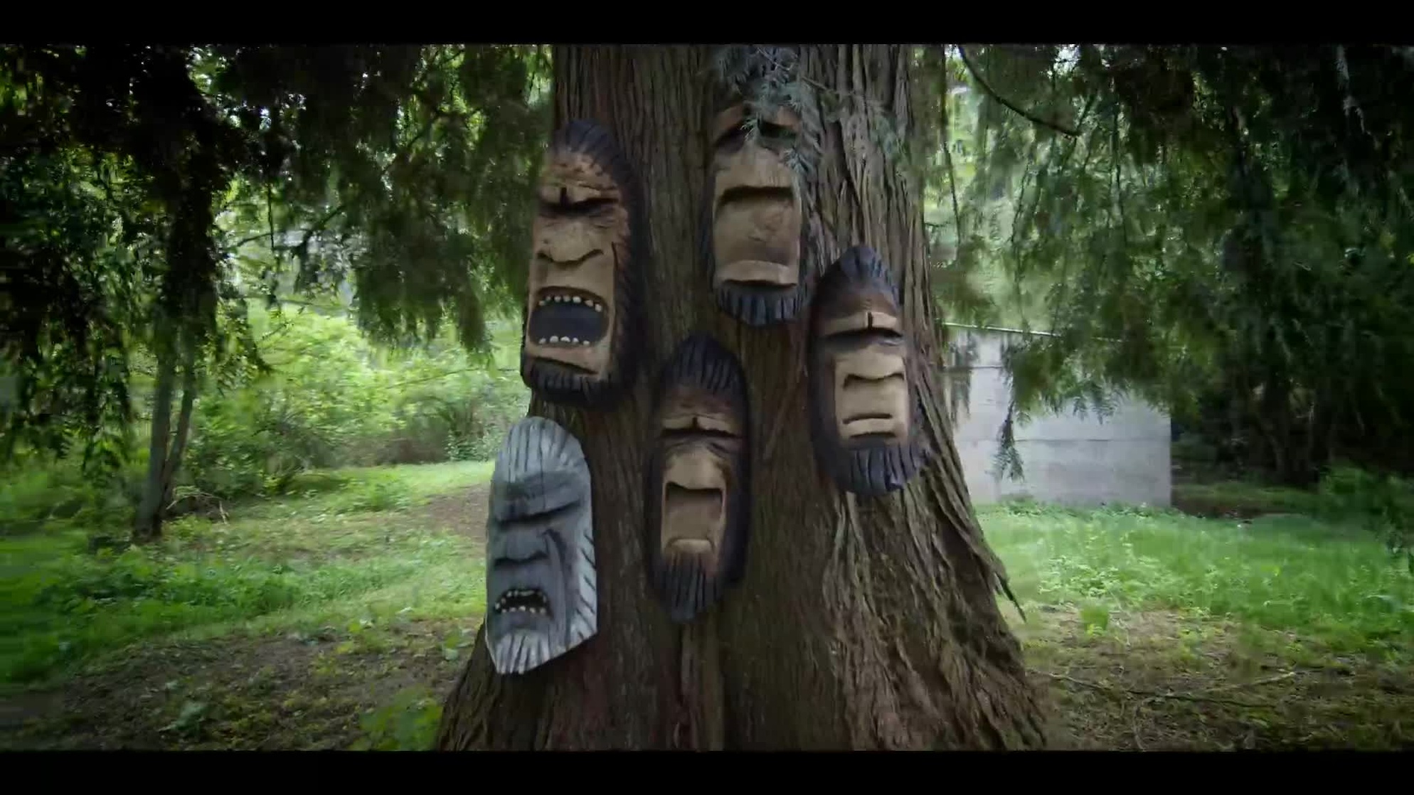 A Flash of Beauty: Bigfoot Revealed