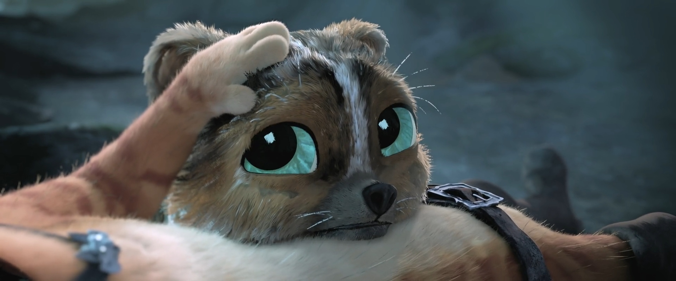 Perrito