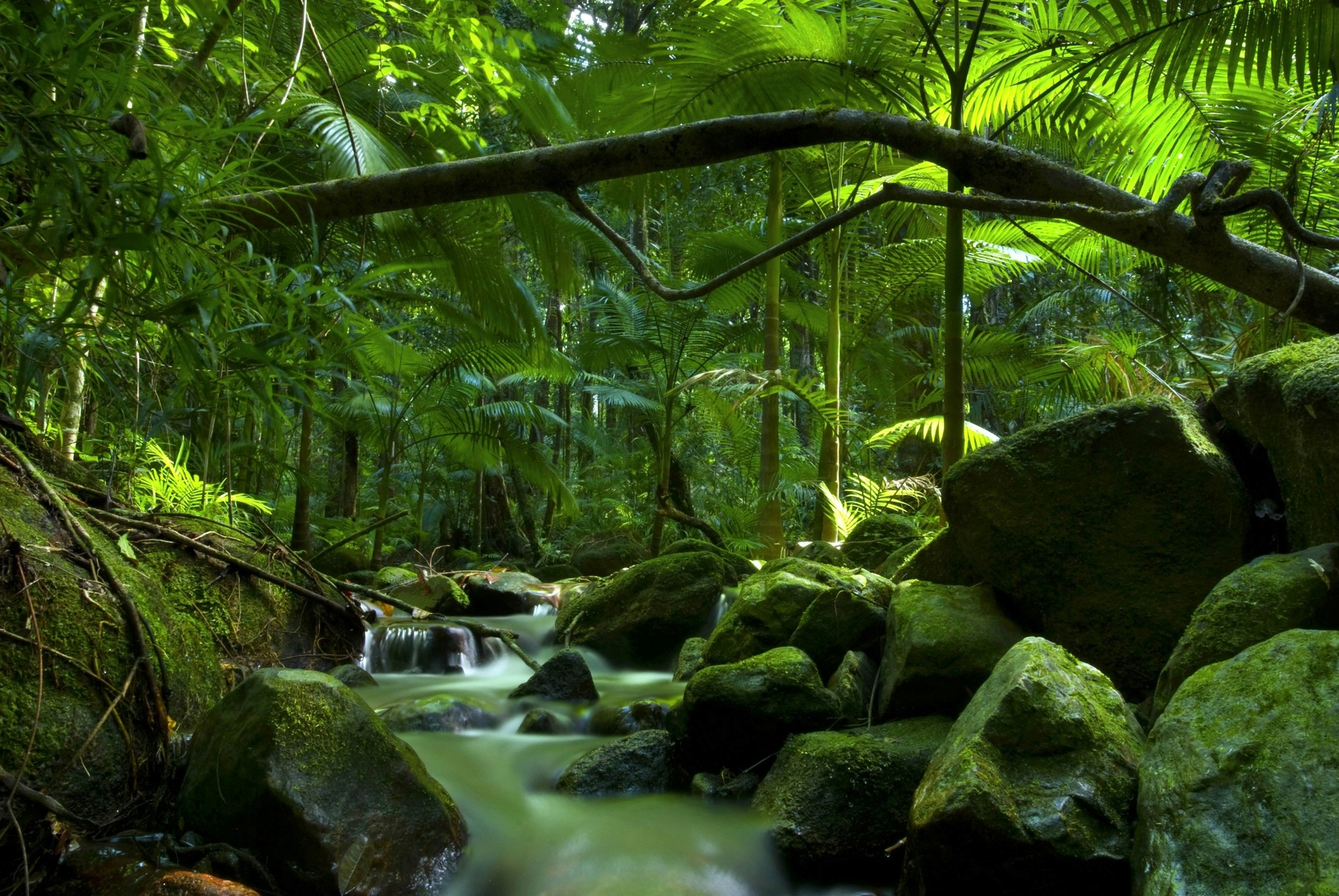 Australia